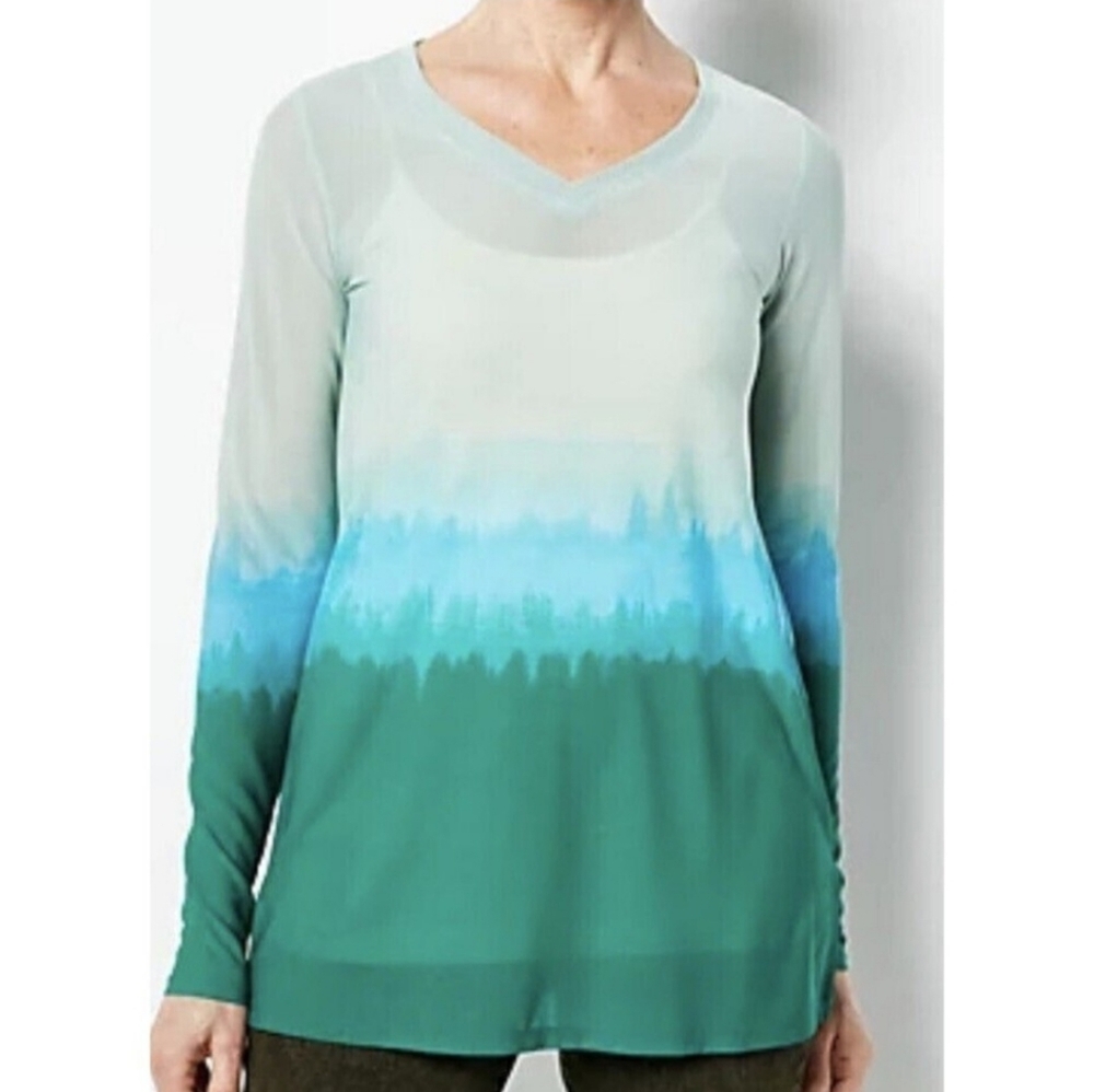LOGO Layers by Lori Goldstein Dip-Dye Sheer Mesh VNeck Tunic Top Plus 4X Green